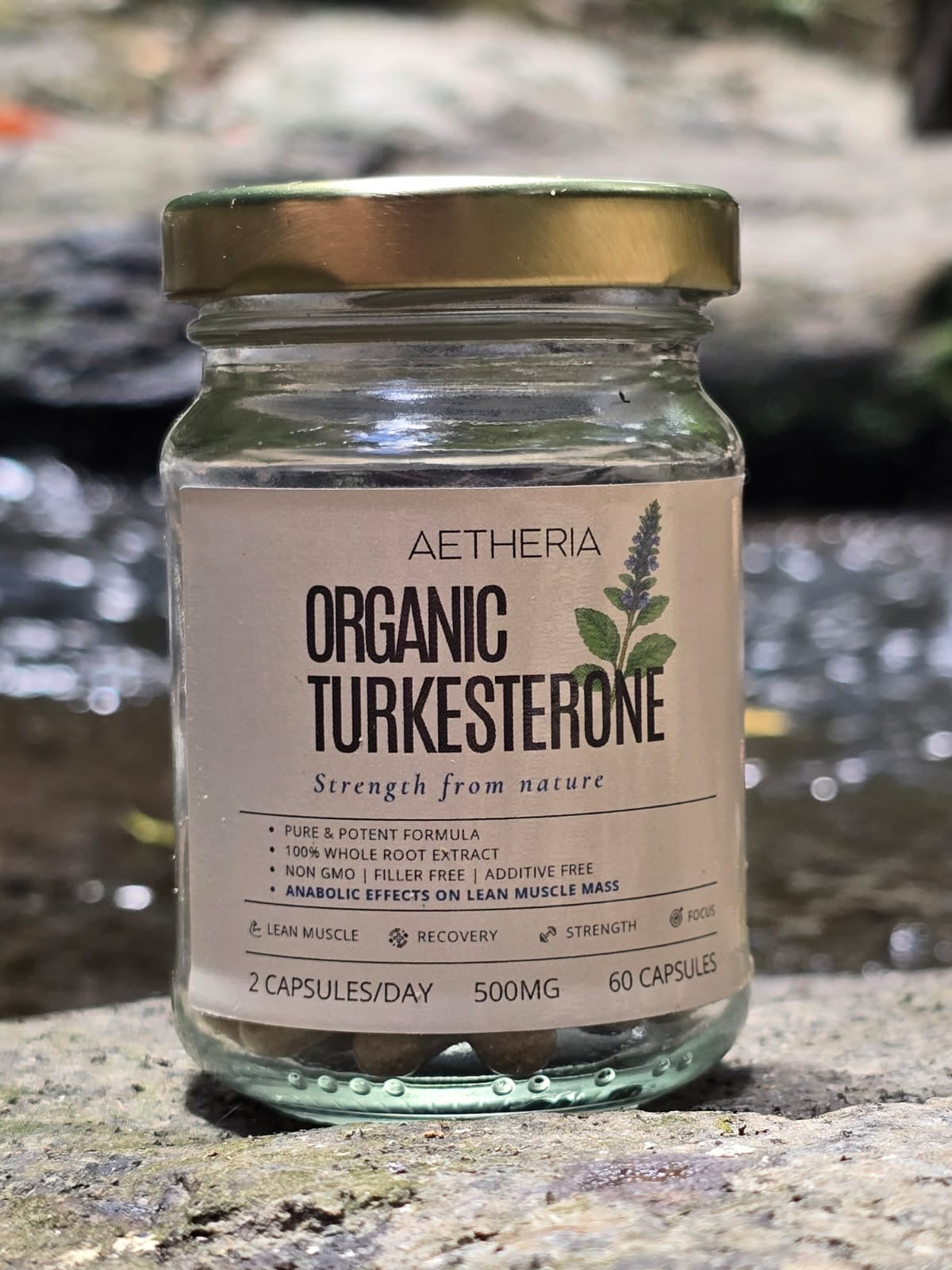 Organic Turkesterone